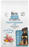 Brit Care Puppy&Junior Large Healthy Growth