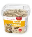 Sanal Multi Vitamin Лакомство с витаминами для кошек, 6шт*100 г (арт. SC1580)