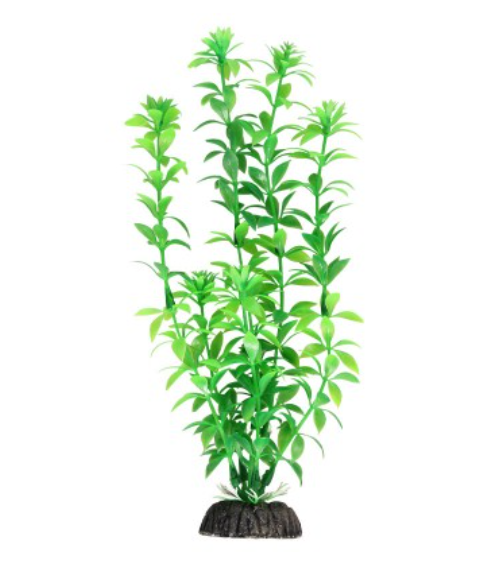 Triol Растение Гемиантус зеленый, 400 мм. (арт. 74044082)