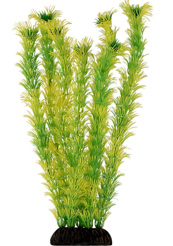 Triol Растение 2956 Амбулия жёлто-зелёная, 300 мм, пакет (арт. 74044046)