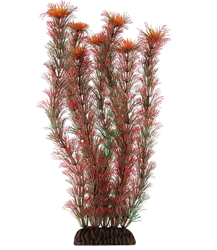 Triol Растение 1999 Амбулия красная, 200 мм, пакет (арт. 74044038)