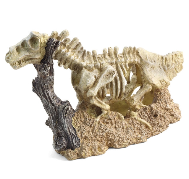 Triol Грот Скелет динозавра, 255*100*165 мм (арт. 74004122)
