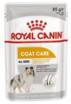 Пресервы Royal Canin Coat Care Adult